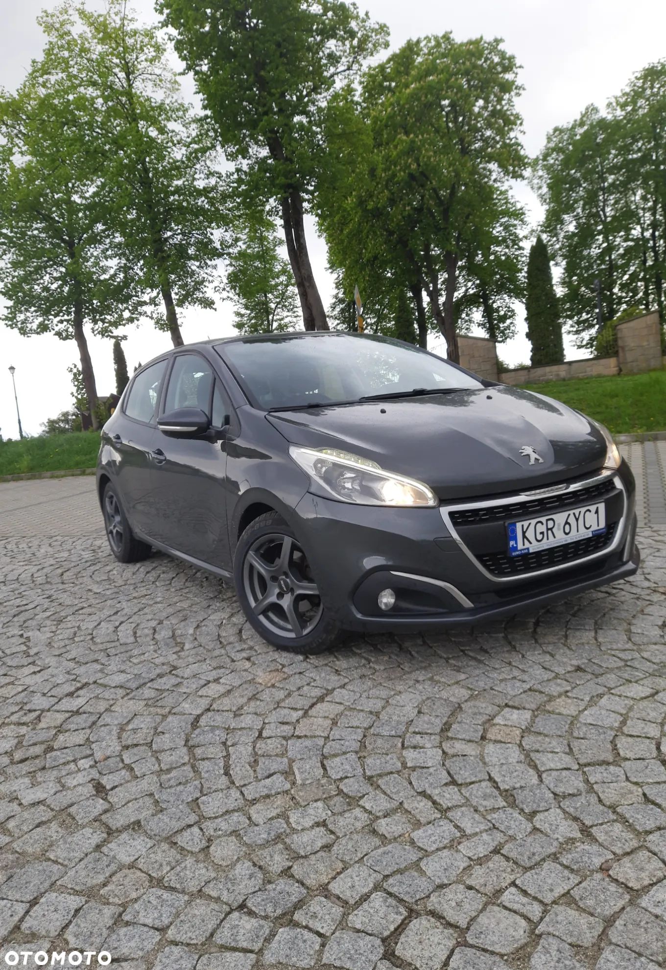 Peugeot 208 1.6 BlueHDi Active - 1