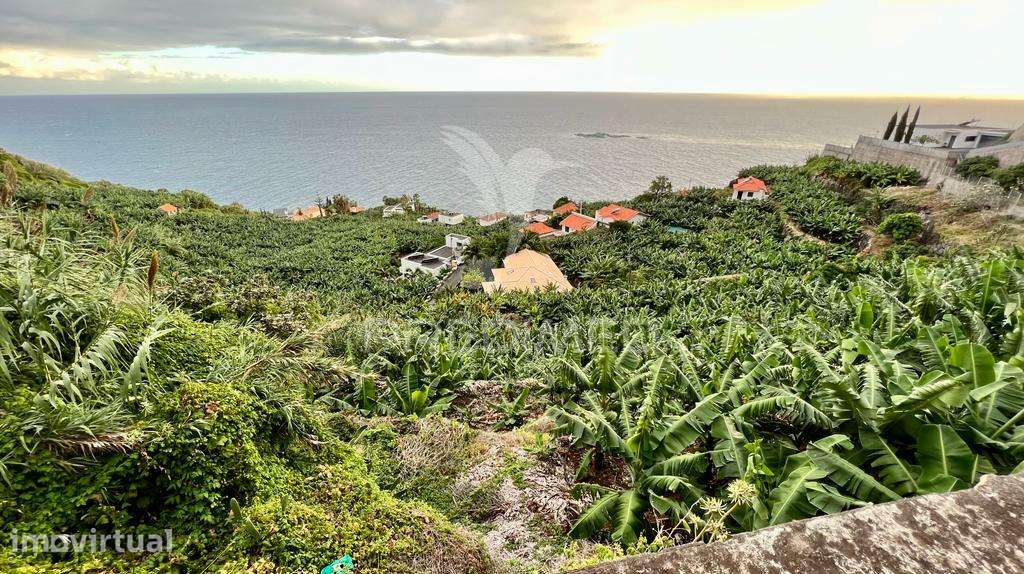 Terreno para Investimento na Calheta - Ilha da Madeira - Grande imagem: 2/10