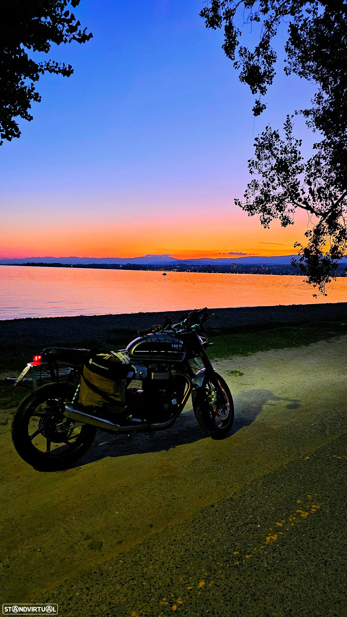 Triumph Speed Twin - 5