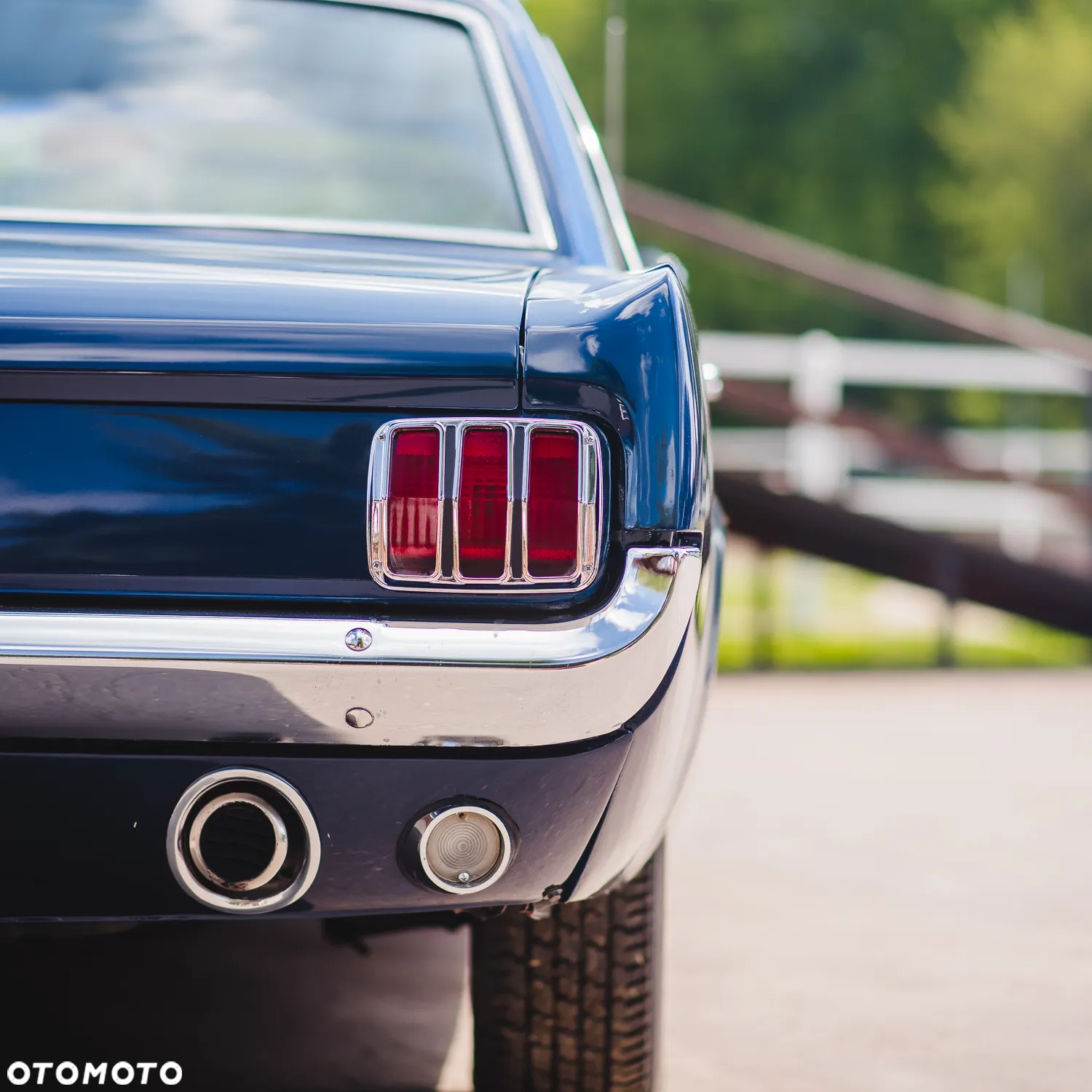 Ford Mustang - 33