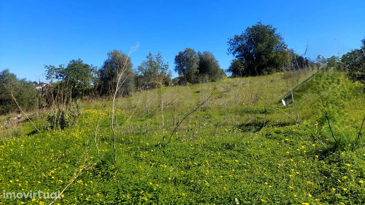 Lote de Terreno Rustico - Grande imagem: 4/4