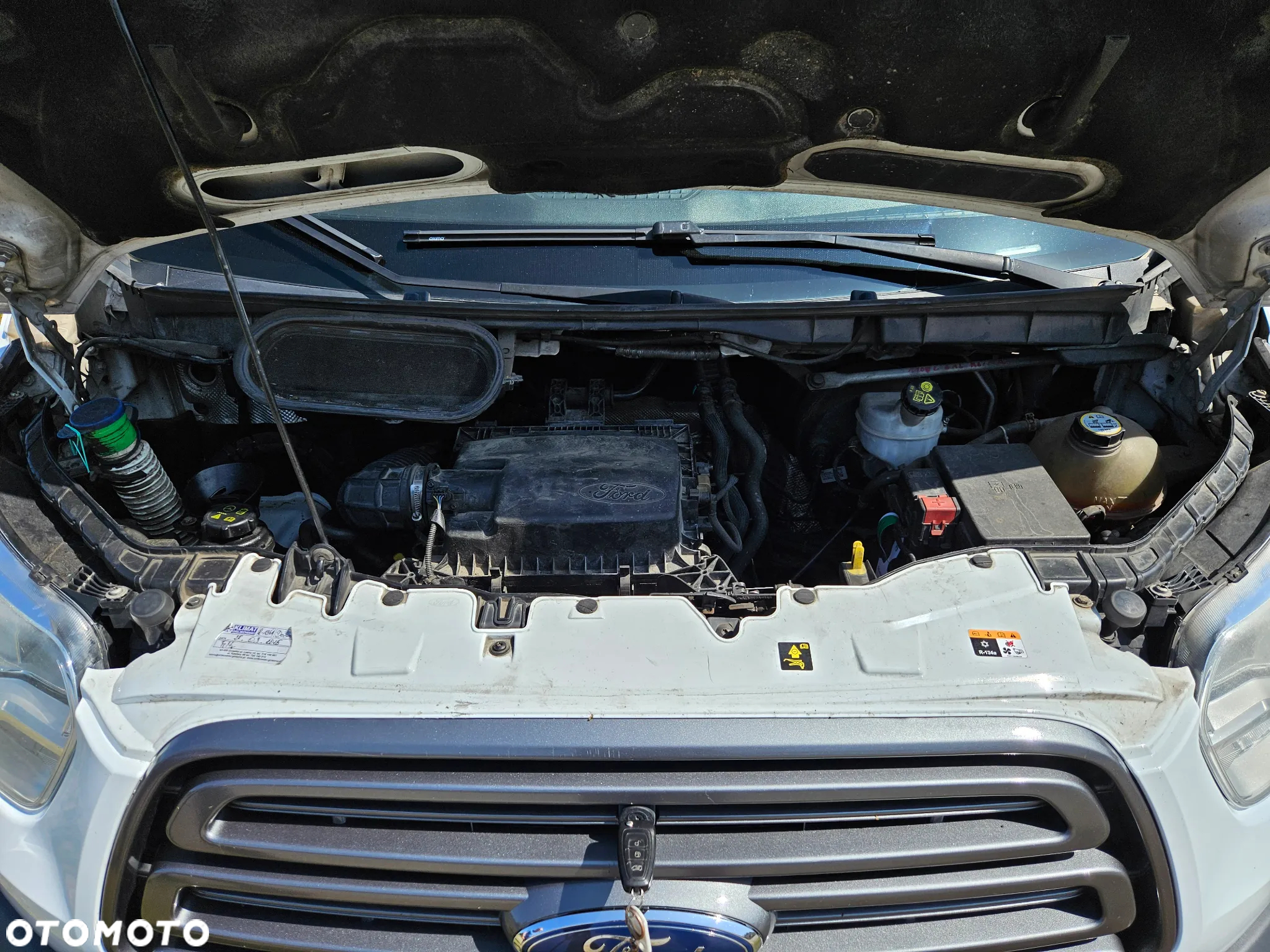 Ford Transit - 19