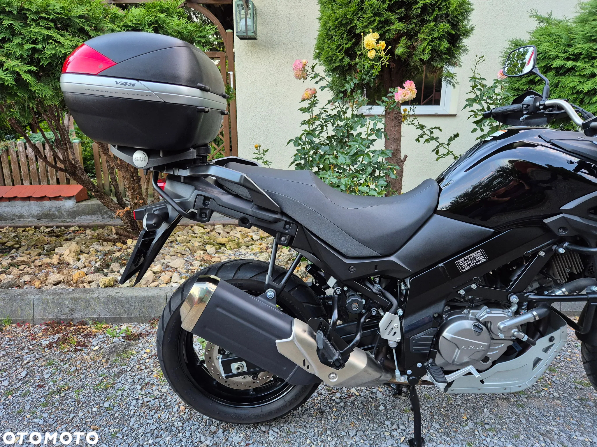 Suzuki DL - 9