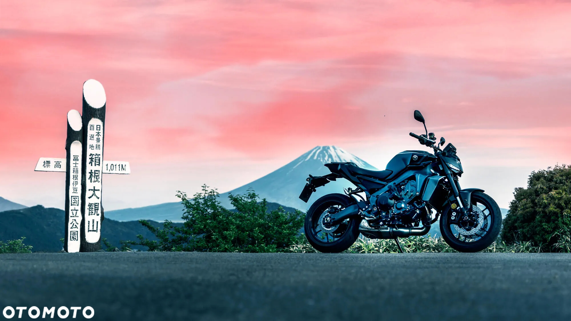 Yamaha MT - 2