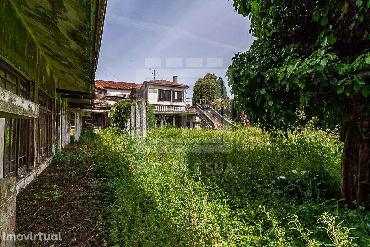 Quintinha de 16.000 m2 próxima do mercado de Lourosa - Grande imagem: 5/39