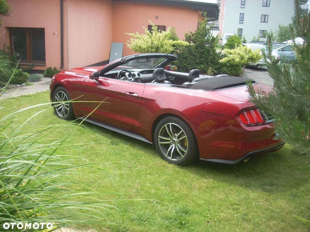 Ford Mustang 2.3 EcoBoost - 14