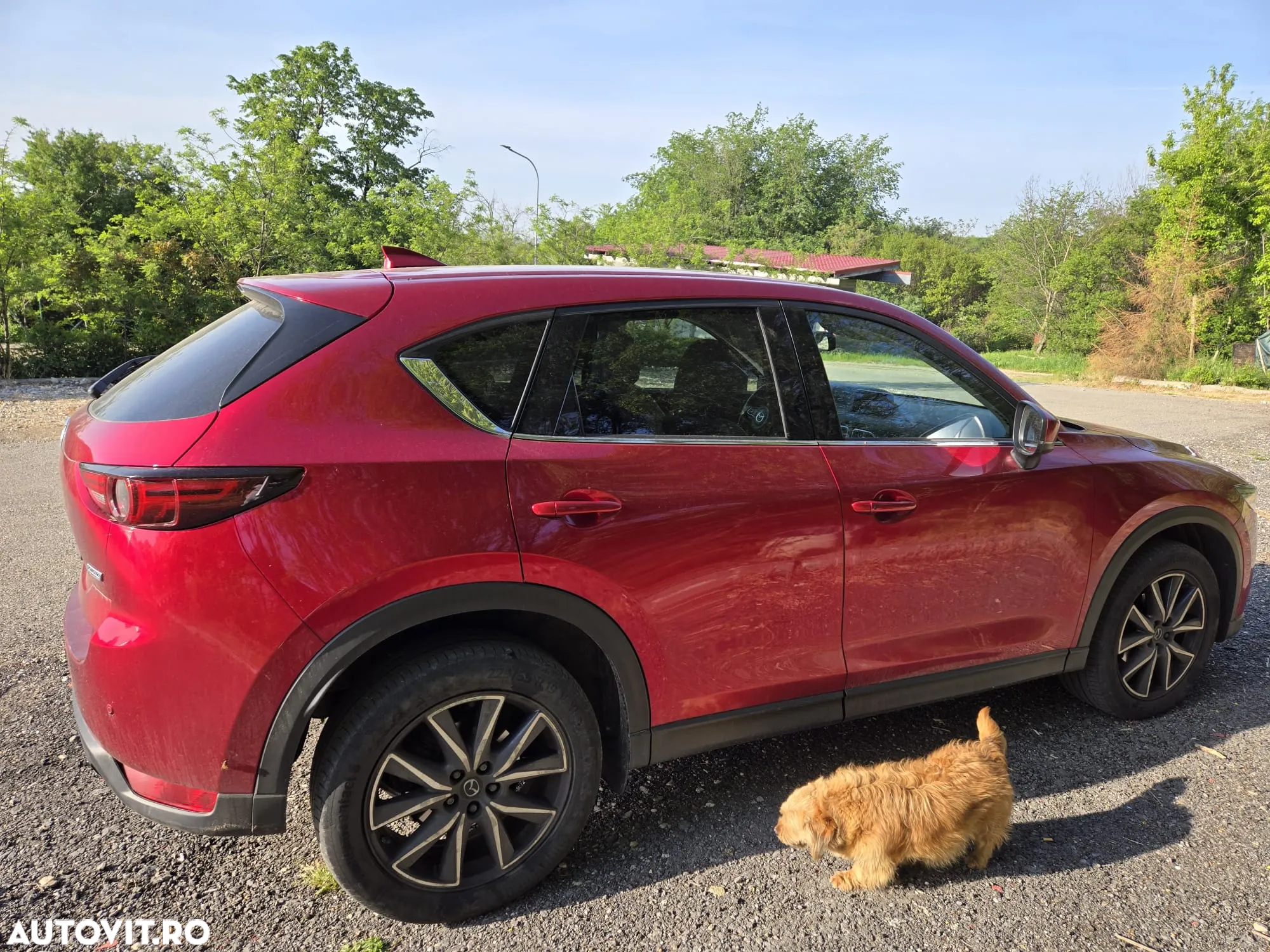 Mazda CX-5 CD175 4x4 AT Revolution Top - 12