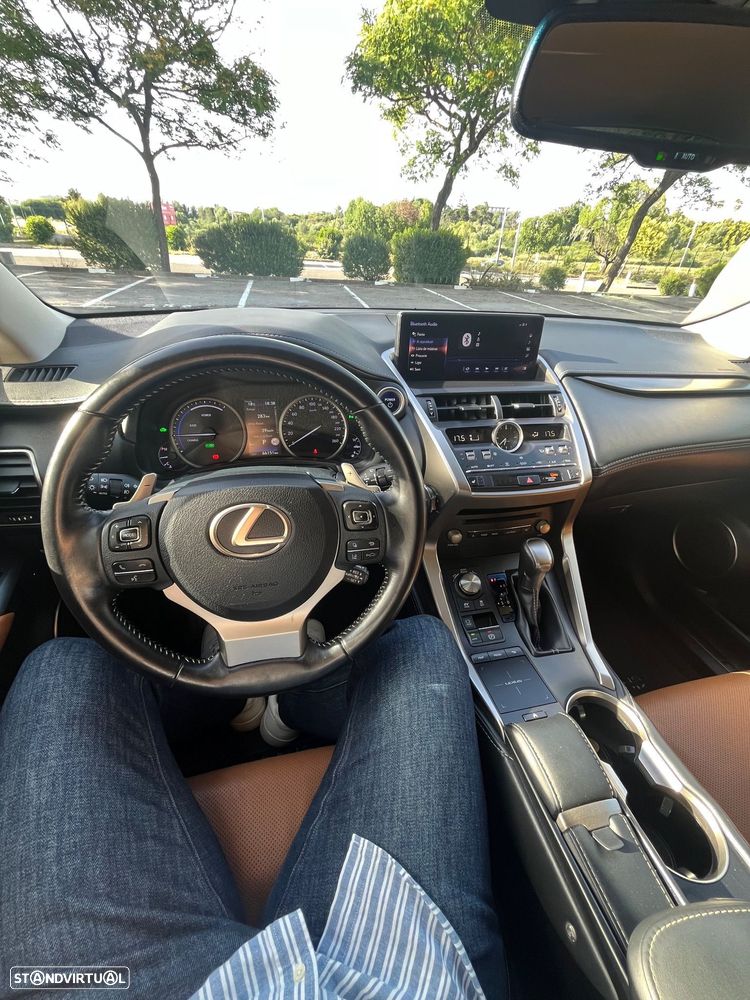 Lexus NX 300h Executive Plus - 10