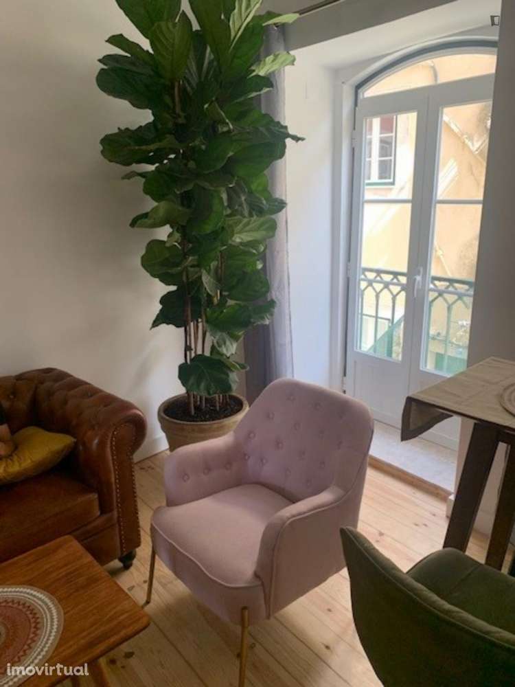 Apartamento com 1 quartos - localizado em São Bento Lisbon - Grande imagem: 4/14