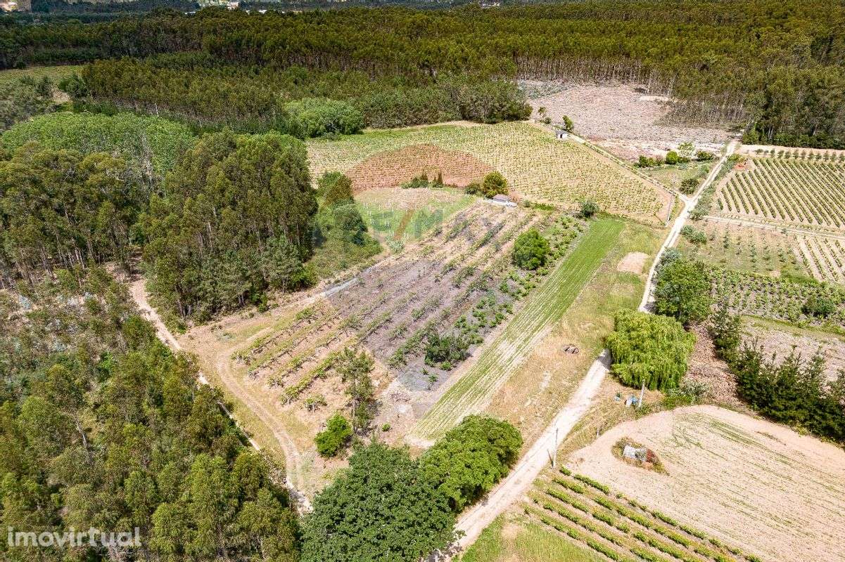 Terreno  para venda - Grande imagem: 5/18