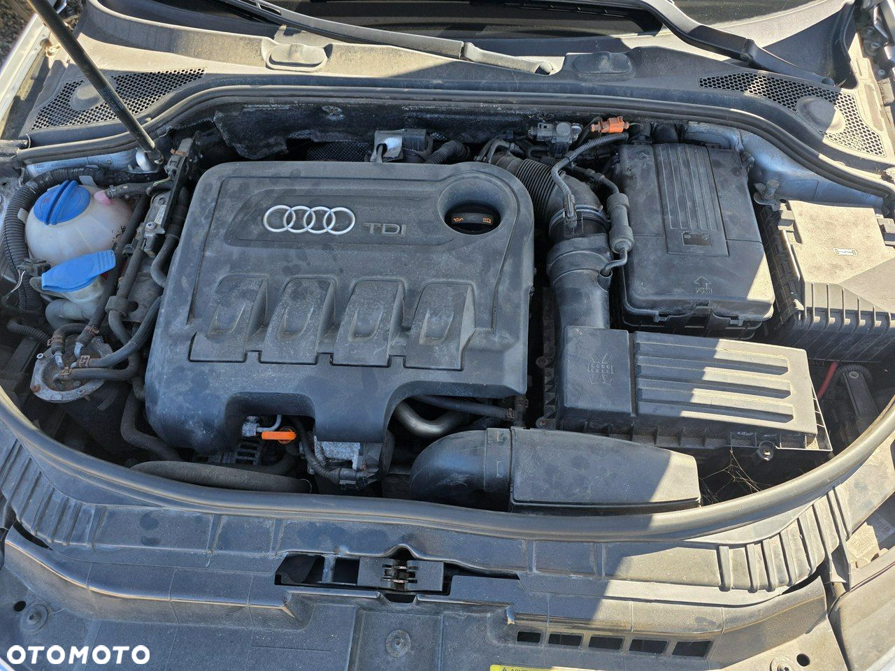Audi A3 - 24