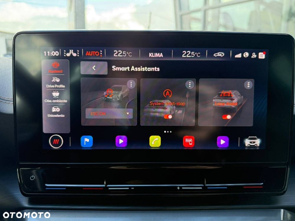 Cupra Formentor 2.0 TDI 4Drive DSG - 26