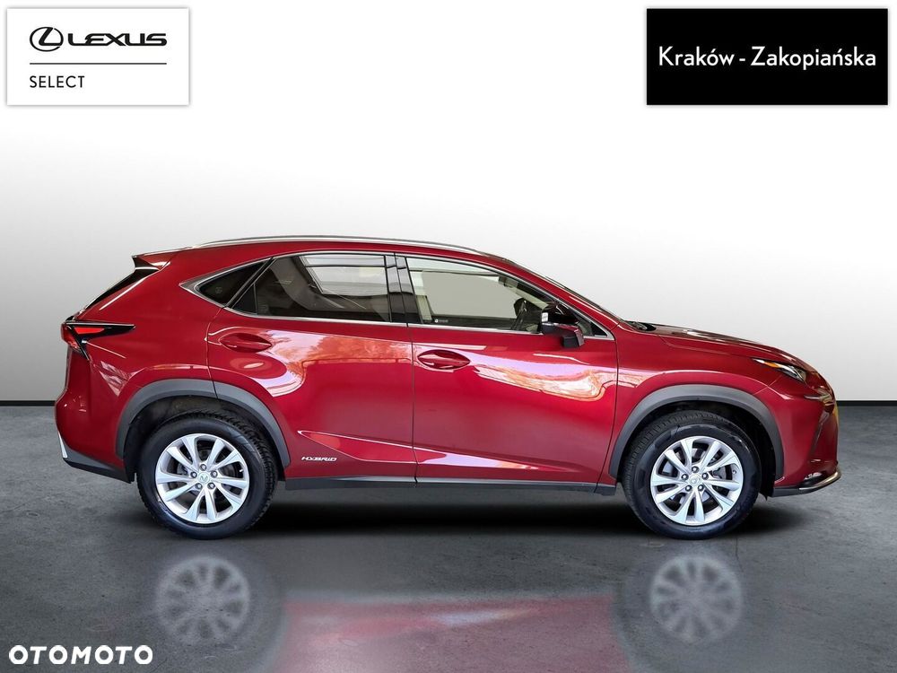 Lexus NX 300h F Impression AWD - 7