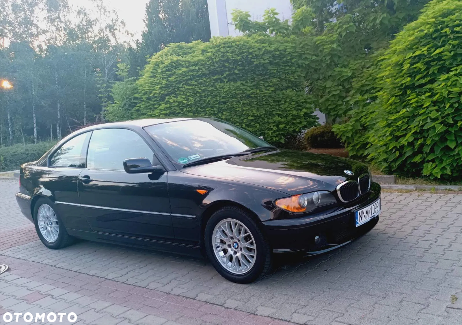 BMW Seria 3 - 31