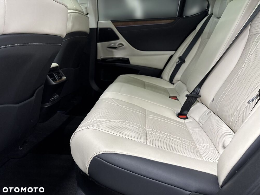 Lexus ES 300h Omotenashi - 10