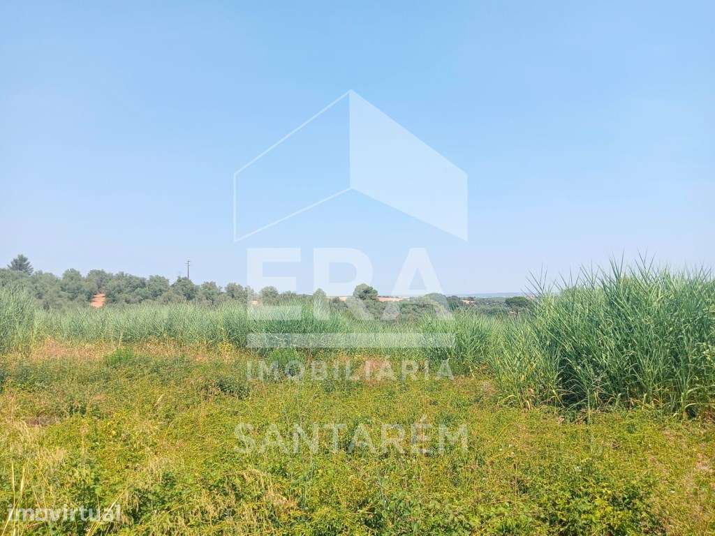 Terreno para Venda - 707 m² - Grande imagem: 3/11