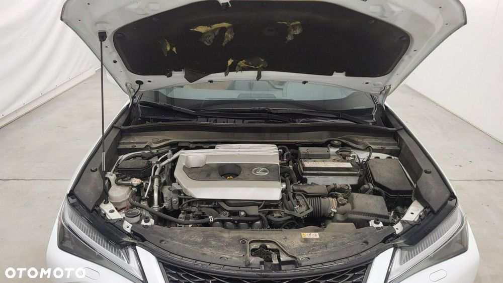 Lexus UX - 22