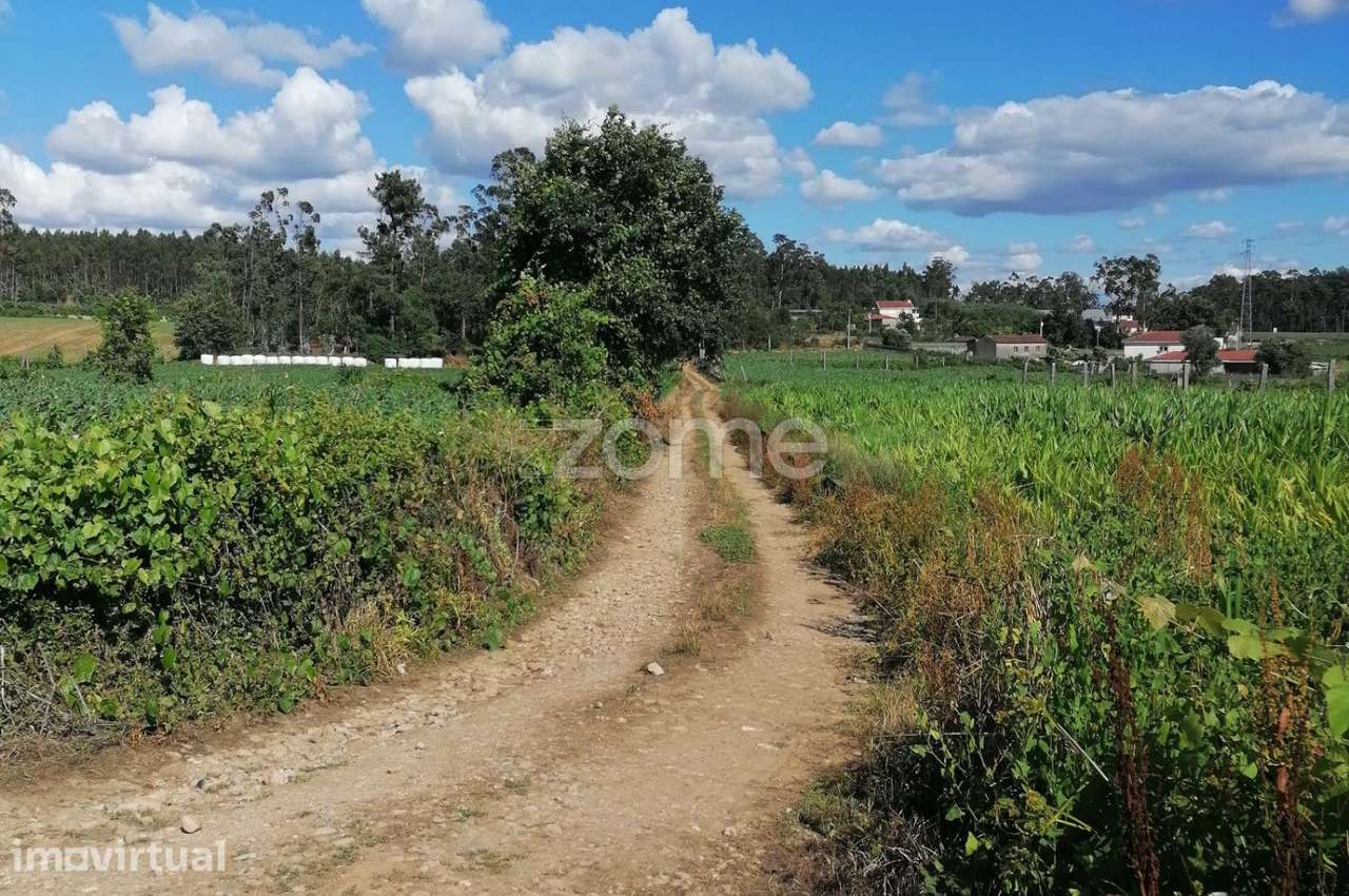 Terreno rústico com 5.000 M2 em Fradelos V.N. Famalicão - Grande imagem: 2/17