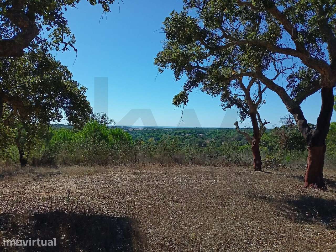 Excecional Quinta de 4 Hectares com Vista Mar – Melides, Grândola - Grande imagem: 4/24