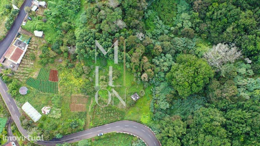 terreno com 2.450 m2, situado no Atalho, Santana - Grande imagem: 5/25