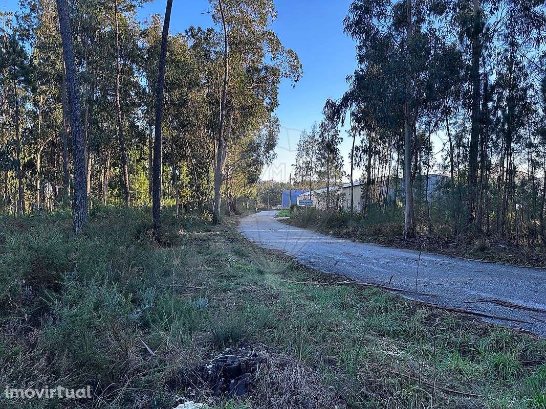 Terreno  para venda - Grande imagem: 5/19