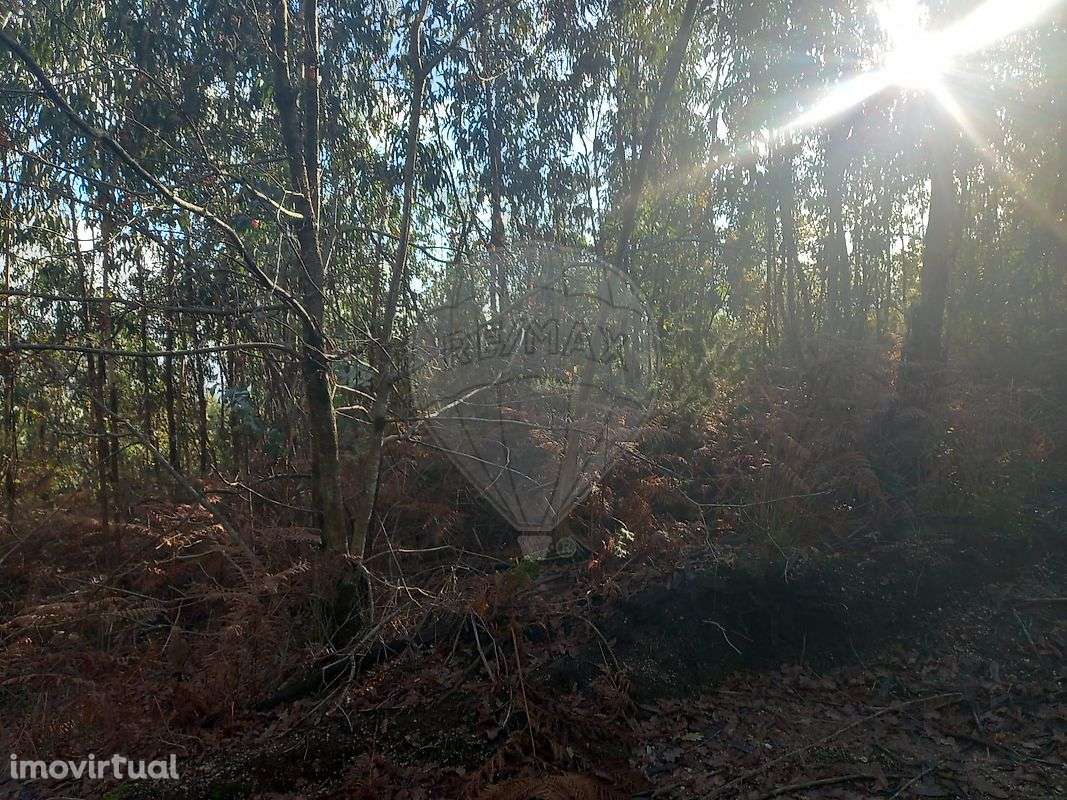 Terreno  para venda - Grande imagem: 4/7