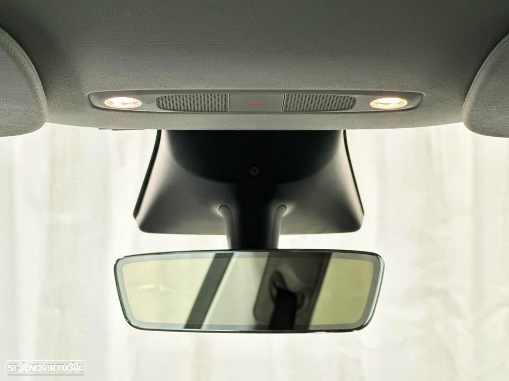 Tesla Model Y Performance Dual Motor AWD - 21