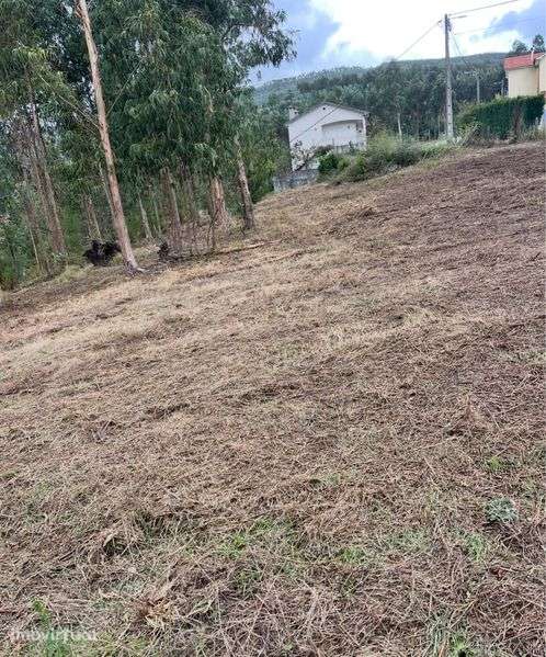 Terreno Grande Area Gilde - Grande imagem: 2/3