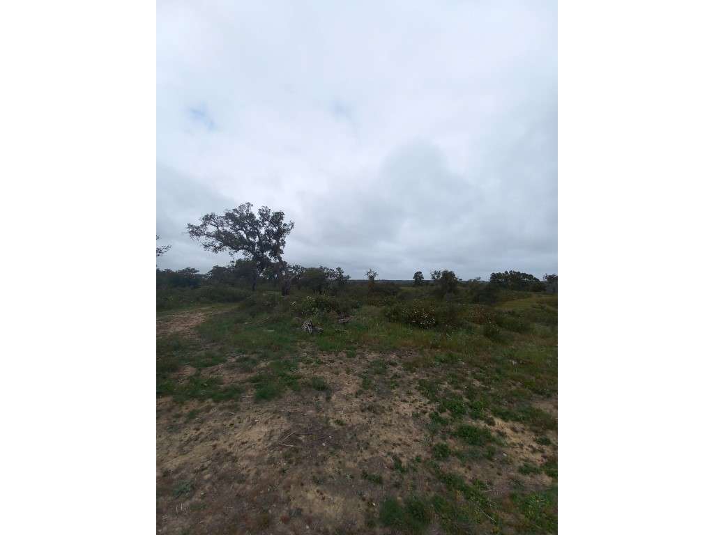 Terreno - Grândola - Grande imagem: 3/6