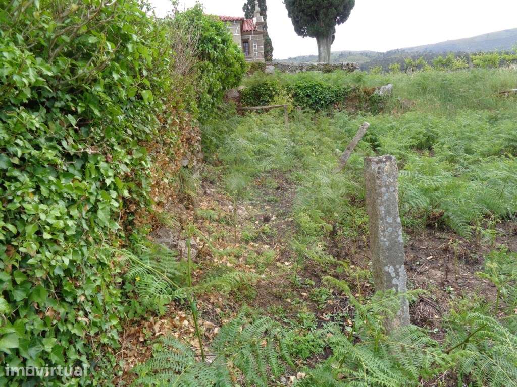 TERRENO URBANO - MELGAÇO - Grande imagem: 5/18