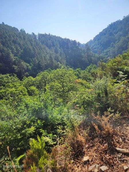 Terreno Rústico em Louredo e Fornelos – 1.728 m² - Grande imagem: 5/9