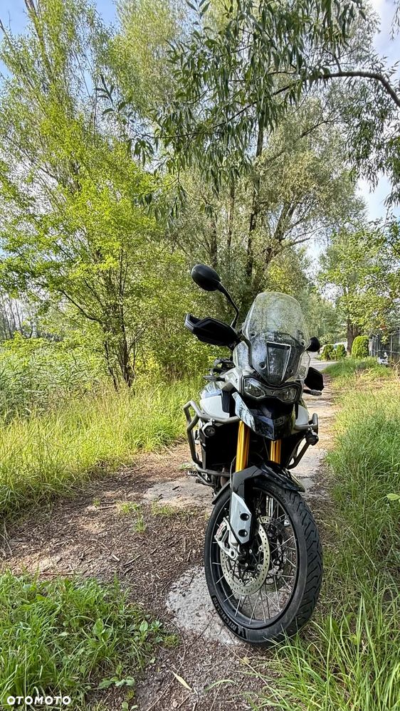 Triumph Tiger - 11