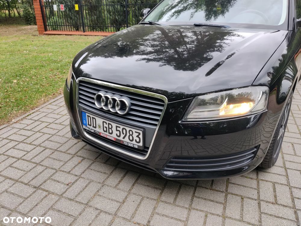 Audi A3 1.9 TDI Ambiente - 8