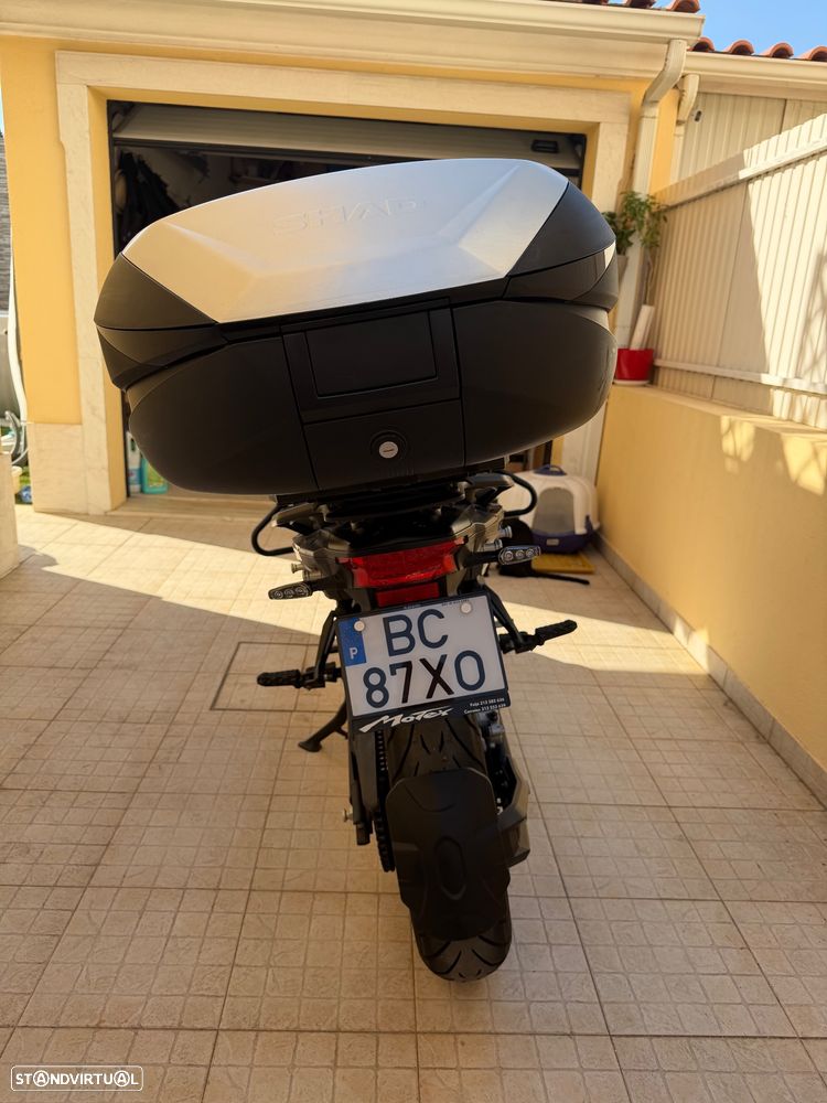 Benelli TRK 502 - 12