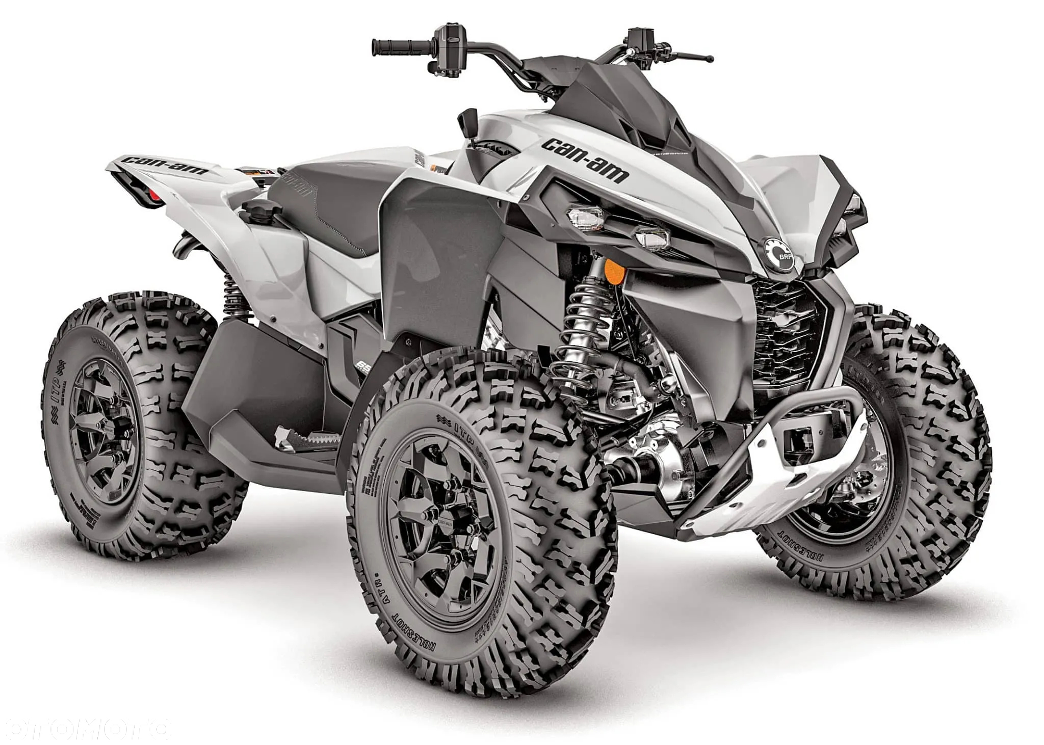Can-Am Renegade