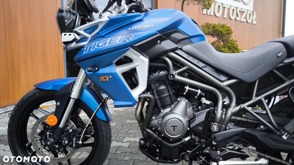 Triumph Tiger - 15