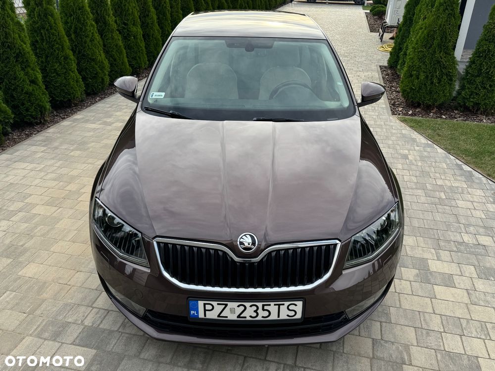 Skoda Octavia - 17