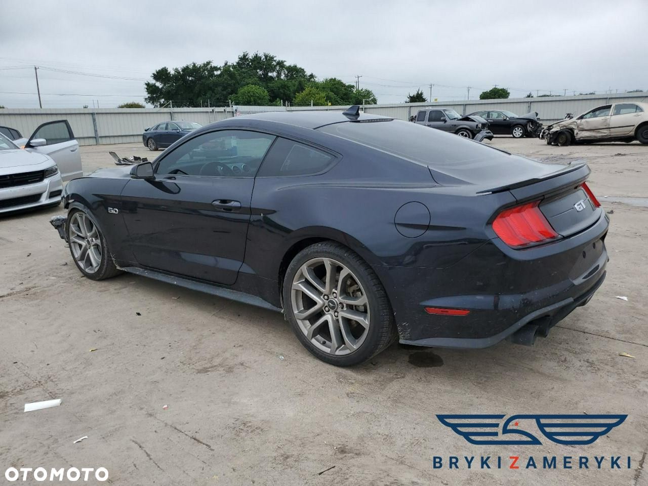 Ford Mustang - 1