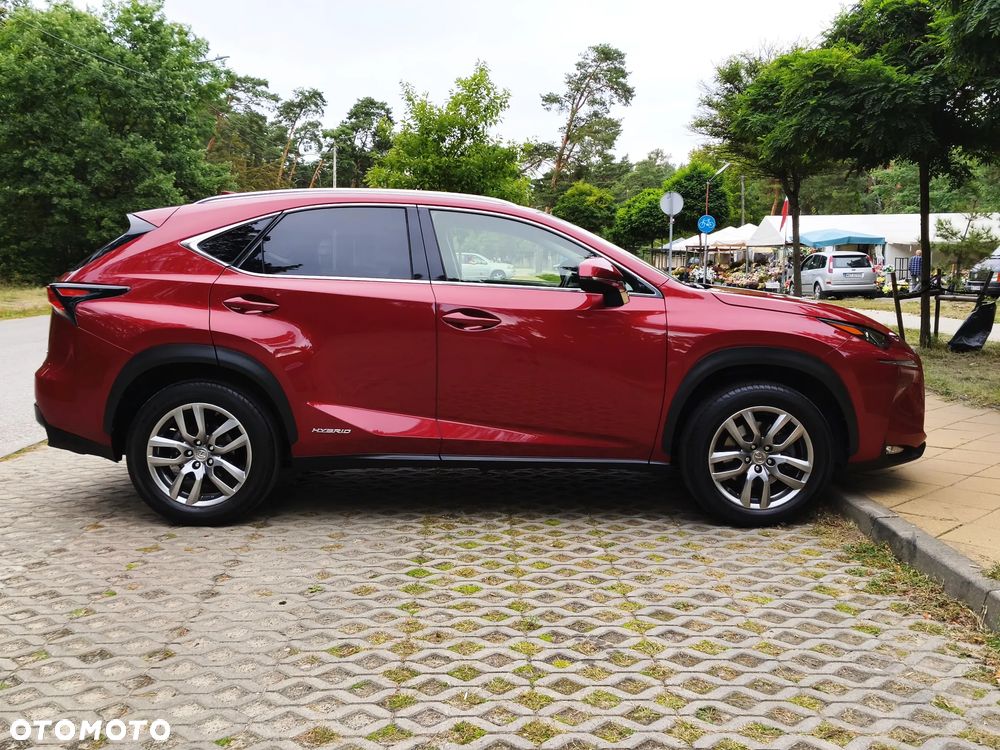 Lexus NX 300h Comfort AWD - 8