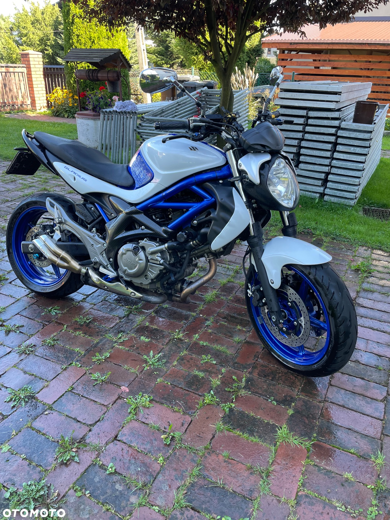 Suzuki Gladius - 2