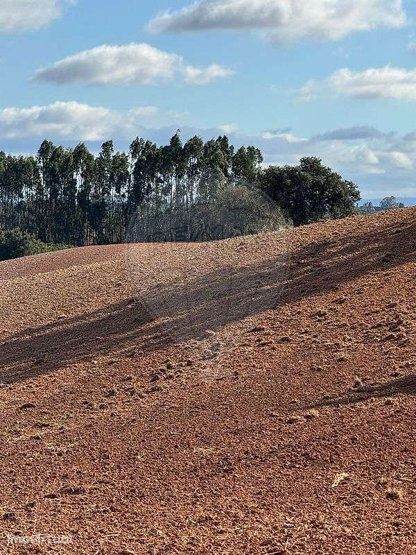 Terreno  para venda - Grande imagem: 2/22