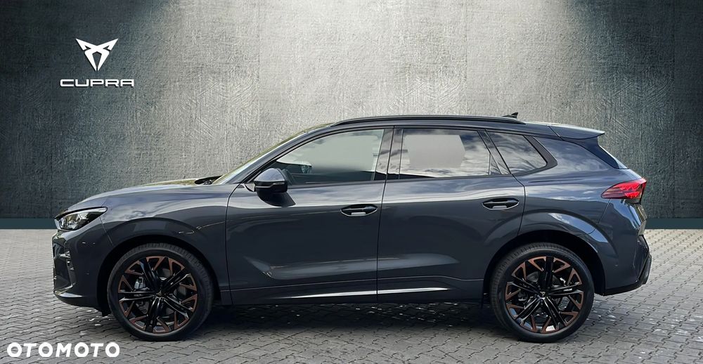 Cupra Terramar 2.0 TSI 4Drive Advantage Edition DSG - 2