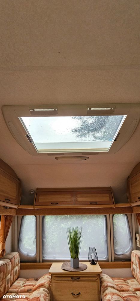 Avondale ARGENTE - 15