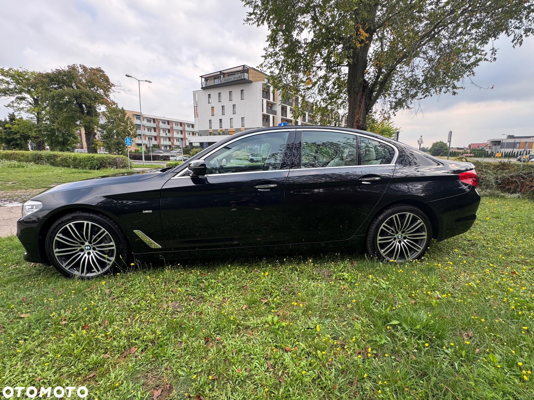 BMW Seria 5 530d Luxury Line sport - 37