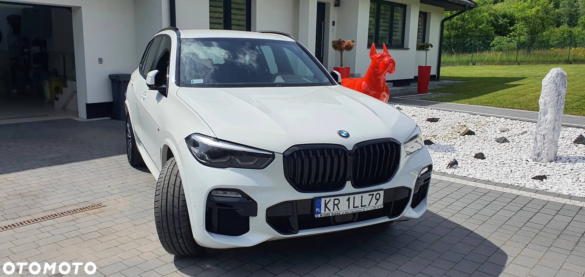 BMW X5 xDrive25d - 7