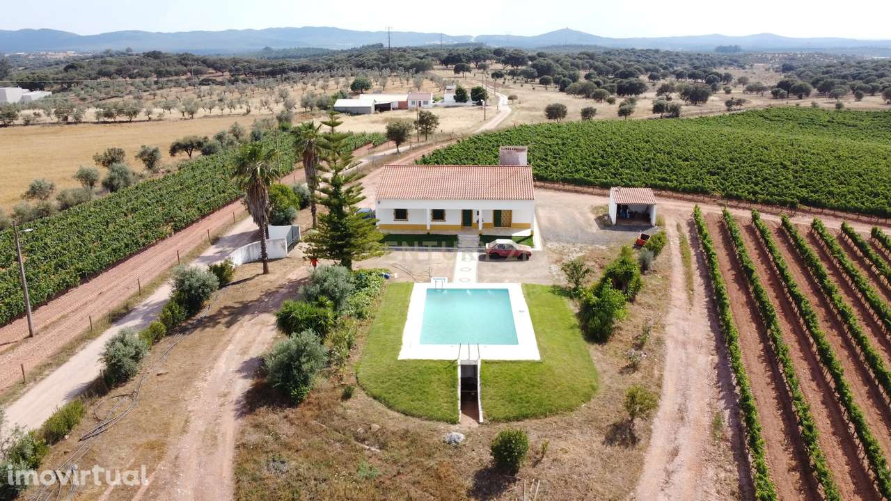 Vinha com 166 228m2, com benfeitoria (projeto) em Estremoz. - Grande imagem: 2/31