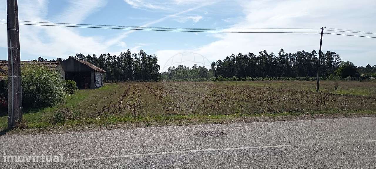 Terreno  para venda - Grande imagem: 4/5