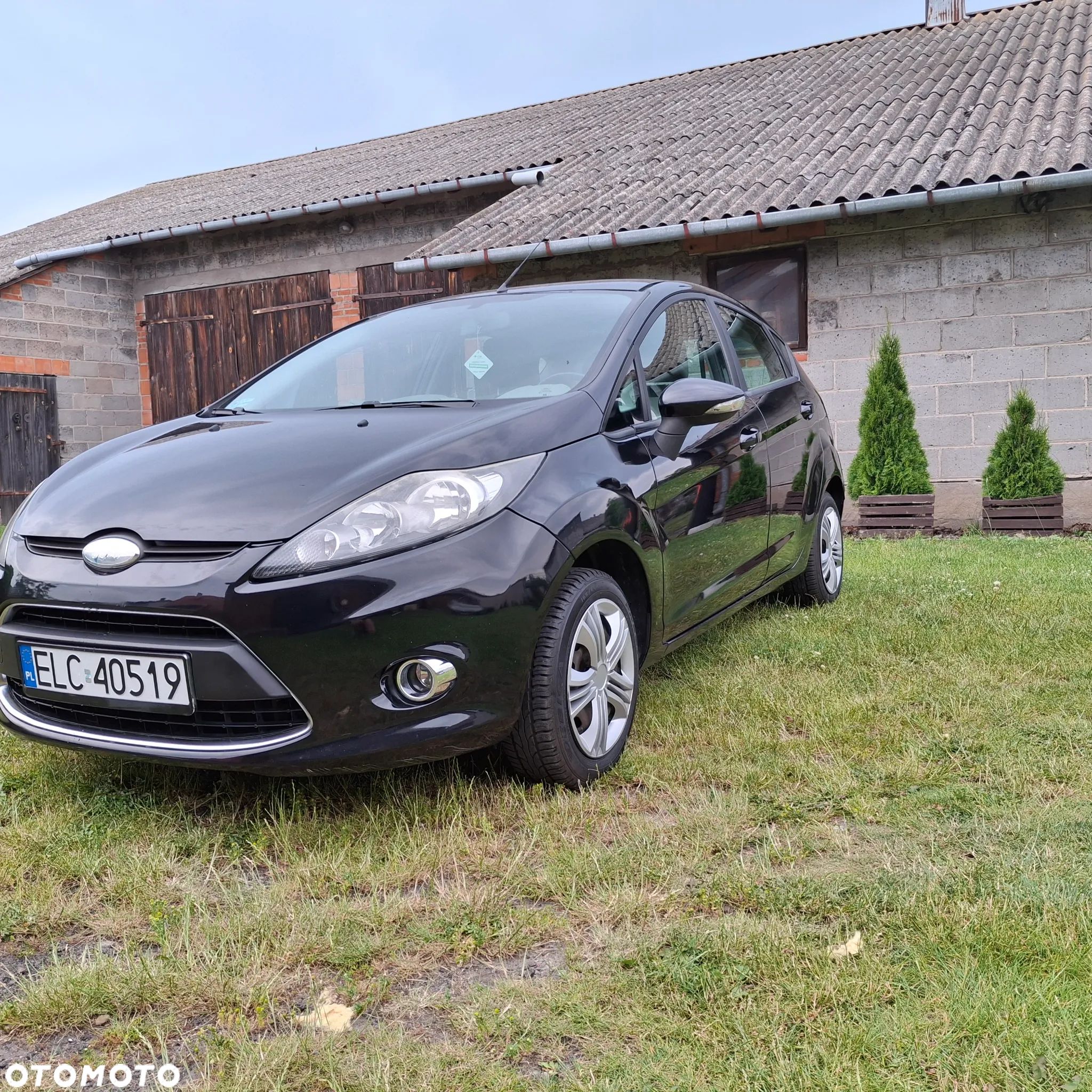 Ford Fiesta - 1