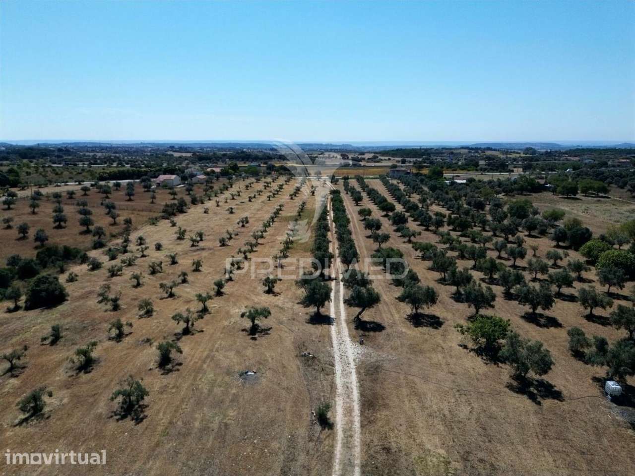 Quinta rural com olival, com uma área de 42,480m2 Vaqueiros, Santarém - Grande imagem: 3/35
