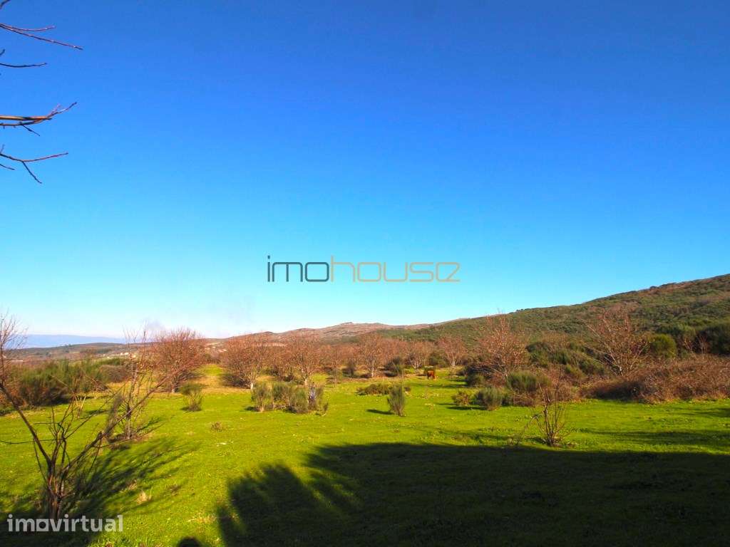 Terreno de 76 hectares - Grande imagem: 2/47
